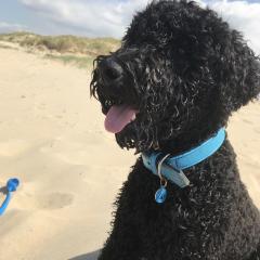 Foto van Joep