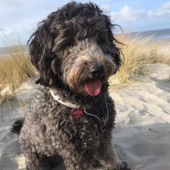 Foto van Luna
