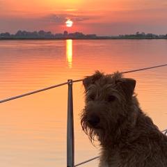 Foto van Hiske
