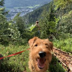 Foto van Hiske