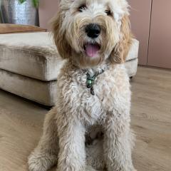 Foto van Lou