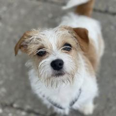 Foto van Bobbi