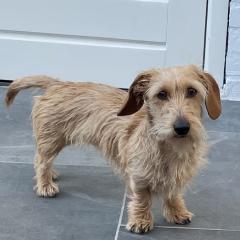Foto van Indy