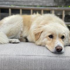 Foto van Eddy