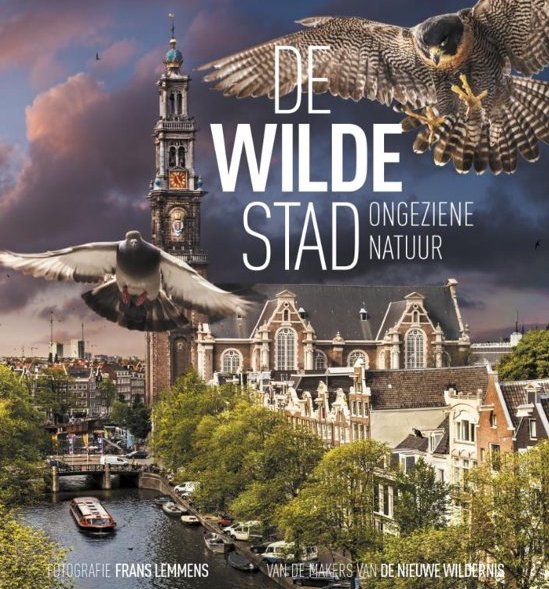 IJplein Vogelbuurt honden oppas, IJplein Vogelbuurt, IJplein Vogelbuurt honden oppas, Noordelijke IJ-oevers West, honden oppas Noordelijke IJ-oevers West, Noordelijke IJ-oevers West, honden oppas, Oostzanerwerf, honden oppas Oostzanerwerf, Oostzanerwerf honden oppas,
