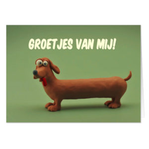 Amsterdam Oost, honden oppas Amsterdam Oost, Amsterdam Oost honden oppas,