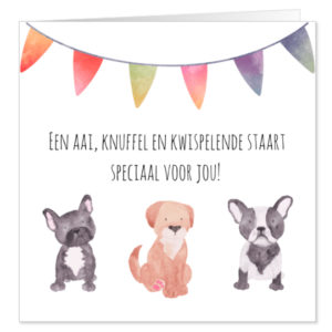 Amsterdam Centrum honden oppas, Burgwallen-Oude Zijde honden oppas, De Weteringschans honden oppas, Grachtengordel-West honden oppas, Grachtengordel-Zuid honden oppas, Haarlemmerbuurt honden oppas, Jordaan honden oppas, Nieuwmarkt Lastage honden oppas, Oostelijke Eilanden Kadijken honden oppas, Weesperbuurt Plantage honden oppas,