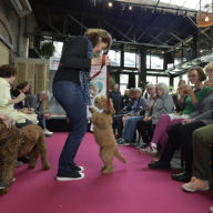 honden oppas Oostelijk Havengebied, honden oppas Oosterparkbuurt, honden oppas Transvaalbuurt, honden oppas Zeeburgereiland Nieuwe Diep, honden oppas Amsterdam West, honden oppas Chassébuurt, honden oppas De Kolenkit, honden oppas Erasmuspark, honden oppas Frederik Hendrikbuurt, honden oppas Geuzenbuurt, honden oppas Helmersbuurt,