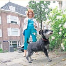 Loosduinen oppas hond, Waldeck oppas hond, Vruchtenbuurt oppas hond, Valkenboskwartier oppas hond, Regentessekwartier oppas hond, Zeeheldenkwartier oppas hond, Bezuidenhout oppas hond, Stationsbuurt oppas hond, Rustenburg en Oostbroek oppas hond, Wateringse Veld oppas hond, Ypenburg oppas hond,