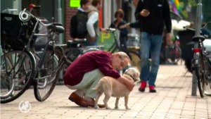 opoe oppas hond, oppas voor mijn hond, hondenoppas prijs, oppas aan huis hond, oppas gezocht, voor hond, huisdieren oppas vakantie, hondenoppas gezocht, voor vakantie, oppas voor huisdieren, oppassen op een hond, prive hondenoppas, oppasadres hond, oppas huisdieren vakantie, Amsterdam hondenoppas aan huis tijdens vakantie