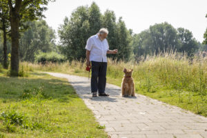 oppas huisdieren vakantie, hondenoppas aan huis tijdens vakantie ik zoek hondenoppas oppas gezocht, hond hondenoppas thuis prijzen hondenoppas tijdens vakantie vakantie hondenoppas hondenoppas voor vakantie gezocht, hondenoppas, opoes hondenoppas, oppas hond thuis, dagoppas hond,