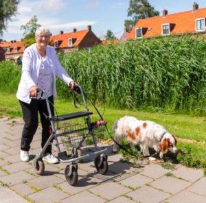 hondenoppas aan huis Haarlemmermeer, hondenoppas aan huis Heerlen, hondenoppas aan huis Helmond, hondenoppas aan huis 's Hertogenbosch, hondenoppas aan huis Hengelo, hondenoppas aan huis Hilversum, hondenoppas aan huis Hoorn, hondenoppas aan huis Leeuwarden, hondenoppas aan huis Leiden, hondenoppas aan huis Lelystad, hondenoppas aan huis Maastricht,