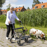 particuliere hondenoppas, teckel oppas, hondenoppas aan huis vakantie, goedkope hondenoppas, oppashonden, oppas hond aan huis, oppas hond vakantie, oppas voor de hond, opoe oppas hond, oppas voor mijn hond, hondenoppas prijs,