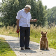 oppas huis en hond, gezocht oppas hond oppas voor kleine honden pawshake hondenoppas hondenoppas vakantie aan huis oppas hond opoe dag oppas hond, oppas voor hond aan huis, marktplaats honden oppas, hondenoppas gezocht, vakantie oppas huisdieren, oppas voor mijn hond gezocht, huis en hondenoppas