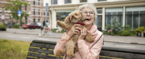 goedkope hondenoppas, oppashonden, oppas hond aan huis, oppas voor de hond, opoe oppas hond, hondenoppas aan huis kosten, particuliere hondenoppas, teckel oppas, hondenoppas aan huis vakantie, goedkope hondenoppas, oppashonden,