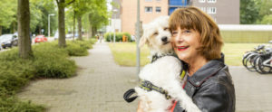 hond oppas, op hond passen, honden oppassen, oppashond, op huisdier passen, honden uitlaatservice, op hond passen, hondenopvang, amstelveen amsterdam amsterdam centrum Amsterdam noord amsterdam oost amsterdam west amsterdam zuid arnhen deventer geleen heerlen rotterdam eindhoven groningen tilburg, delft venlo deventer