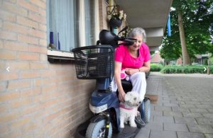 veenendaal honden oppas, honden oppas veenendaal