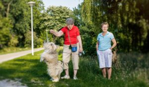 ede oppas hond, oppas hond ede, Groenoord, Noorderkwartier, De Kooi, Meerburg, Rijndijkbuurt, Professorenwijk-Oost, Burgemeesterswijk, Professorenwijk-West, Tuinstadwijk, Cronestein, Klein, Cronestein, Roomburg, Waardeiland, Vreewijk