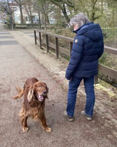 Rozenburg oppas hond, Feijenoord oppas hond, Hillegersberg-Schiebroek oppas hond, Ijjselmonde oppas hond, Prins Alexander oppas hond, Charlois oppas hond, Delfshaven oppas hond, Hoogvliet oppas hond, Kralingen-Crooswijk oppas hond, Noord oppas hond, Centrum oppas hond, Rozenburg oppas hond, Overschie oppas hond,