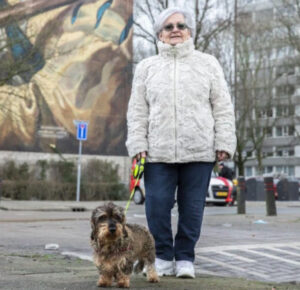 Feijenoord oppas huisdieren, Hillegersberg-Schiebroek oppas huisdieren, Ijjselmonde oppas huisdieren, Prins Alexander oppas huisdieren, Charlois oppas huisdieren, Delfshaven oppas huisdieren, Hoogvliet oppas huisdieren, Kralingen-Crooswijk oppas huisdieren, Noord oppas huisdieren, Centrum oppas huisdieren, Rozenburg oppas huisdieren, Overschie oppas huisdieren,