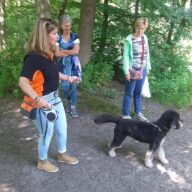 oppas voor hond gezocht Haarlem, oppas voor hond gezocht Haarlemmermeer, oppas voor hond gezocht Heerlen, oppas voor hond gezocht Helmond, oppas voor hond gezocht 's Hertogenbosch, oppas voor hond gezocht Hengelo, oppas voor hond gezocht Hilversum, oppas voor hond gezocht Hoorn, oppas voor hond gezocht Leeuwarden, oppas voor hond gezocht Leiden, oppas voor hond gezocht Lelystad, oppas voor hond gezocht Maastricht, oppas voor hond gezocht Nijmegen, oppas voor hond gezocht