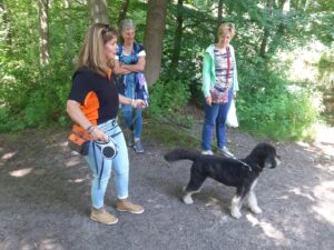 oppas voor hond gezocht Haarlem, oppas voor hond gezocht Haarlemmermeer, oppas voor hond gezocht Heerlen, oppas voor hond gezocht Helmond, oppas voor hond gezocht 's Hertogenbosch, oppas voor hond gezocht Hengelo, oppas voor hond gezocht Hilversum, oppas voor hond gezocht Hoorn, oppas voor hond gezocht Leeuwarden, oppas voor hond gezocht Leiden, oppas voor hond gezocht Lelystad, oppas voor hond gezocht Maastricht, oppas voor hond gezocht Nijmegen, oppas voor hond gezocht