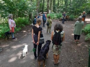 Ede oppas voor hond, Eindhoven oppas voor hond, Emmen oppas voor hond, Enschede oppas voor hond, Gouda oppas voor hond, Groningen oppas voor hond, Haarlem oppas voor hond, Haarlemmermeer oppas voor hond, Heerlen oppas voor hond, Helmond oppas voor hond, s Hertogenbosch oppas voor hond, Hengelo oppas voor hond, Hilversum oppas voor hond,