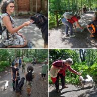 oppas voor hond,oppas voor hond Almelo, oppas voor hond Almere, oppas voor hond Alphen aan den Rijn, oppas voor hond Amersfoort, oppas voor hond Apeldoorn, oppas voor hond Arnhem, oppas voor hond Assen,