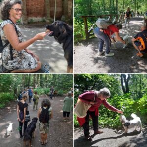 oppas voor hond,oppas voor hond Almelo, oppas voor hond Almere, oppas voor hond Alphen aan den Rijn, oppas voor hond Amersfoort, oppas voor hond Apeldoorn, oppas voor hond Arnhem, oppas voor hond Assen,