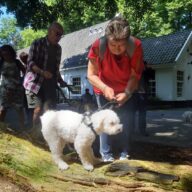 oppas voor hond Breda, oppas voor hond Delft, oppas voor hond Deventer, oppas voor hond Dordrecht, oppas voor hond Ede, oppas voor hond Eindhoven, oppas voor hond Emmen, oppas voor hond Enschede, oppas voor hond Gouda, oppas voor hond Groningen, oppas voor hond