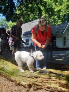 oppas voor hond Breda, oppas voor hond Delft, oppas voor hond Deventer, oppas voor hond Dordrecht, oppas voor hond Ede, oppas voor hond Eindhoven, oppas voor hond Emmen, oppas voor hond Enschede, oppas voor hond Gouda, oppas voor hond Groningen, oppas voor hond