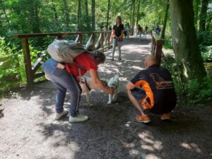 Amsterdam oppas voor hond, Rotterdam oppas voor hond gezocht, Den Haag hond oppassen, Utrecht oppassen op honden, Amsterdam vakantie oppas hond, Rotterdam opoe hondenoppas, Den Haag oppas huisdieren, Utrecht hondenoppas thuis, Amsterdam Noord hondenoppas in huis