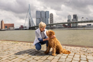 oppashond Delft, oppashond Deventer, oppashond Dordrecht, oppashond Ede, oppashond Eindhoven, oppashond Emmen, oppashond Enschede, oppashond Gouda, oppashond Groningen oppashond Haarlem, oppashond