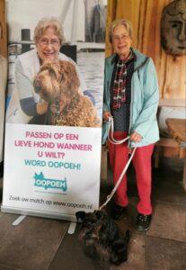 Heerlen oppas honden, Helmond oppas honden, s Hertogenbosch oppas honden, Hengelo oppas honden, Hilversum oppas honden, Hoorn oppas honden, Leeuwarden oppas honden, Leiden oppas honden, Lelystad oppas honden, Maastricht oppas honden,