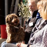 Helmond dagopvang hond, s Hertogenbosch dagopvang hond, Hengelo dagopvang hond, Hilversum dagopvang hond, Hoorn dagopvang hond, Leeuwarden dagopvang hond, Leiden dagopvang hond, Lelystad dagopvang hond, Maastricht dagopvang hond, Nijmegen dagopvang hond, Oss dagopvang hond,