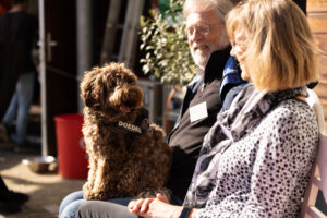 Helmond dagopvang hond, s Hertogenbosch dagopvang hond, Hengelo dagopvang hond, Hilversum dagopvang hond, Hoorn dagopvang hond, Leeuwarden dagopvang hond, Leiden dagopvang hond, Lelystad dagopvang hond, Maastricht dagopvang hond, Nijmegen dagopvang hond, Oss dagopvang hond,