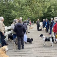 oppas hond, oppas hond Deventer, oppas hond Dordrecht, oppas hond Ede, oppas hond Eiindhoven, oppas hond Emmen, oppas hond Enschede, oppas hond Gouda, oppas hond Groningen, oppas hond Haarlem, oppas hond Haarlemmermeer,