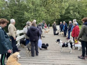 oppas hond, oppas hond Deventer, oppas hond Dordrecht, oppas hond Ede, oppas hond Eiindhoven, oppas hond Emmen, oppas hond Enschede, oppas hond Gouda, oppas hond Groningen, oppas hond Haarlem, oppas hond Haarlemmermeer,