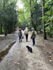 oppas hond Nijmegen, oppas hond Oss, oppas hond Roosendaal, oppas hond Sittard - Geleen, oppas hond Schiedam, oppas hond Tilburg, oppas hond Venlo, oppas hond Zaanstad, oppas hond Zoetermeer, oppas hond Zwolle, oppas hond