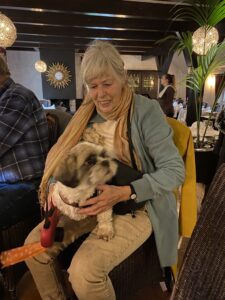 Heerlen oppas hond, Helmond oppas hond, s Hertogenbosch oppas hond, Hengelo oppas hond, Hilversum oppas hond, Hoorn oppas hond, Leeuwarden oppas hond, Leiden oppas hond, Lelystad oppas hond, Maastricht oppas hond,