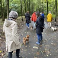 oppas hond Delft, oppas hond Deventer, oppas hond Dordrecht, oppas hond Ede, oppas hond Eindhoven, oppas hond Emmen, oppas hond Enschede, oppas hond Gouda, oppas hond Groningen, oppas hond Haarlem,