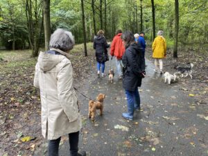 oppas hond Delft, oppas hond Deventer, oppas hond Dordrecht, oppas hond Ede, oppas hond Eindhoven, oppas hond Emmen, oppas hond Enschede, oppas hond Gouda, oppas hond Groningen, oppas hond Haarlem,