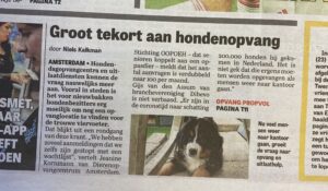 hondenoppasgezocht Nijmegen, hondenoppasgezocht Oss, hondenoppasgezocht Roosendaal, hondenoppasgezocht Sittard - Geleen, hondenoppasgezocht Sittard, hondenoppasgezocht Geleen, hondenoppasgezocht Schiedam, hondenoppasgezocht Tilburg, hondenoppasgezocht Venlo, hondenoppasgezocht, Zaanstad hondenoppasgezocht, Zoetermeer hondenoppasgezocht, Zwolle hondenoppasgezocht,