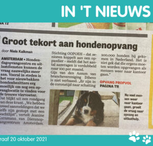hondenoppas aan huis vakantie, goedkope hondenoppas, oppashonden, rover hondenoppas, oppas hond aan huis, oppas hond vakantie, oppas voor de hond, opoe oppas hond, hondenoppas aan huis kosten, particuliere hondenoppas, teckel oppas, kosten hondenoppas, puppy oppas gezocht, rottweiler oppas, hondenoppas vakantie gezocht, hondenoppas scheveningen