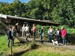 oppas honden Haarlemmermeer, oppas honden Heerlen, oppas honden Helmond, oppas honden 's Hertogenbosch, oppas honden Hengelo, oppas honden Hilversum, oppas honden Hoorn, oppas honden Leeuwarden, oppas honden Leiden, oppas honden Lelystad,