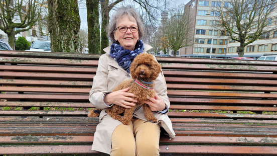 honden oppas Rotterdam, Rotterdam honden oppas, Rotterdam oppas hond, Den Haag oppashond, Deventer oppashond, Dordrecht oppashond, Ede oppashond, Eindhoven oppashond, Emmen oppashond, Enschede oppashond, Gouda oppashond, Groningen oppashond, Haarlem oppashond, Haarlemmermeer oppashond,