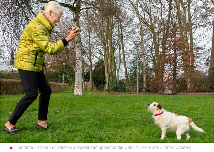 petbnb, brabant hondenoppas, hondenoppas gezocht brabant