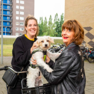 Centrum amsterdam honden oppas, Burgwallen Oude Zijde honden oppas, Weteringschans honden oppas, Grachtengordel-West honden oppas, Grachtengordel-Zuid honden oppas, Haarlemmerbuurt honden oppas, Jordaan honden oppas, Nieuwmarkt Lastage honden oppas, Oostelijke Eilanden Kadijken honden oppas, Weesperbuurt Plantage honden oppas,