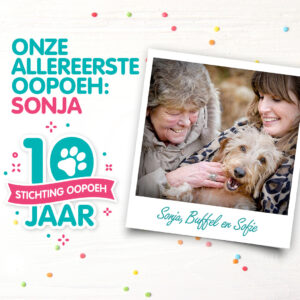 OOPOEH stichting oppashond hondenoppas