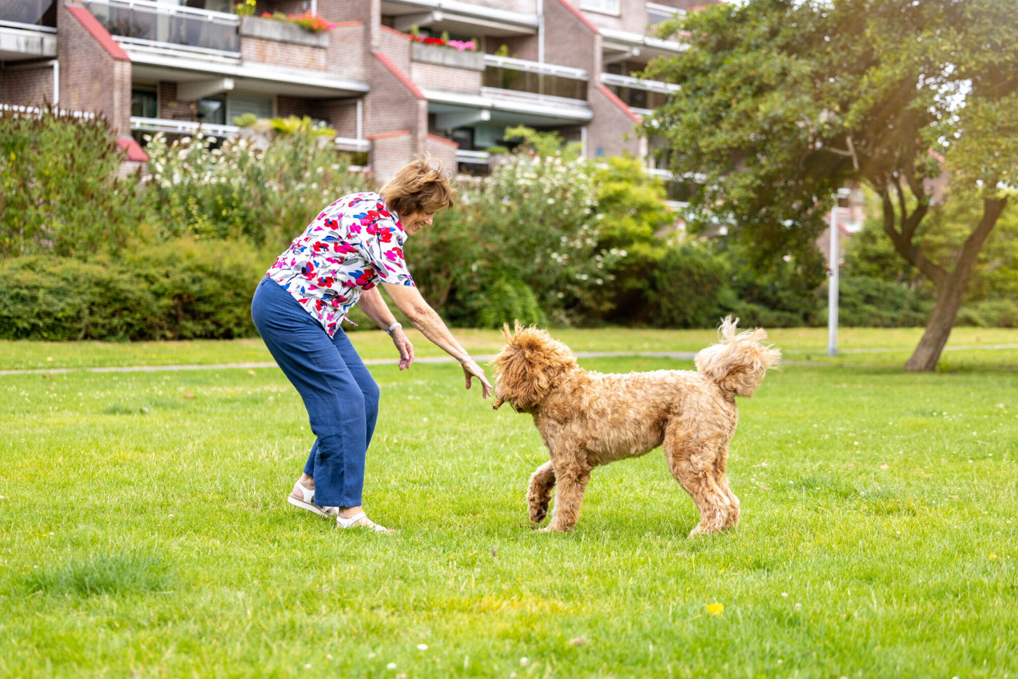 hond uitlaten amstelveen aan huis 